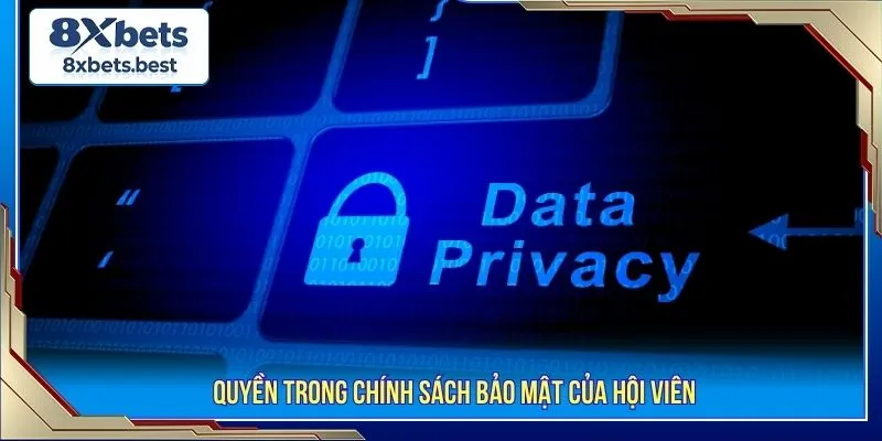 Chính Sách Bảo Mật 8XBET - Tổng Quan Quy Định Cần Biết 3 Quyền trong chính sách bảo mật của hội viên